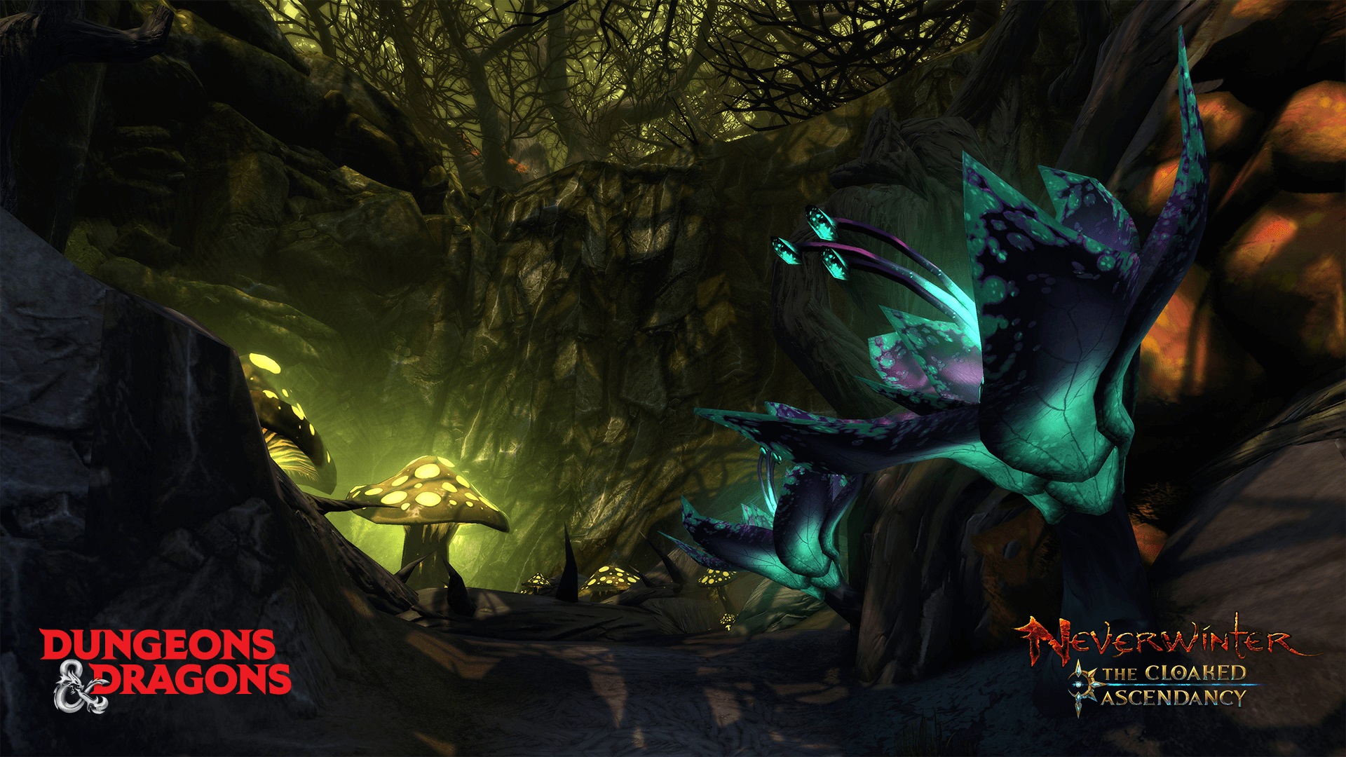 Neverwinter